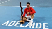 Djokovic giành danh hiệu thứ 92