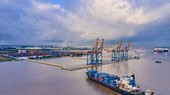 Nam Hải - Đình Vũ là một trong những cảng chính của GMD ở khu vực phía Bắc với sản lượng gần 600.000 TEU/năm và hiện đang vận hành 100% công suất