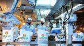 KBSV: Cổ phiếu phân bón giảm mạnh nhưng vẫn chưa phải thời điểm giải ngân