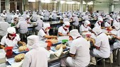 HUBA kiến nghị cơ quan thuế hoàn thuế đúng hạn cho doanh nghiệp