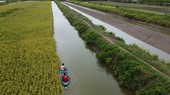 ĐBSCL đứng trước nguy cơ khô hạn khắc nghiệt vì El Nino