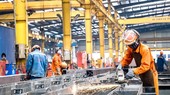 Áp dụng các nguyên lý khoa học vào hoạt động sản xuất