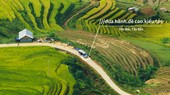 Vietnam Post chính thức sử dụng công nghệ định vị what3words