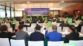 Liên đoàn bóng đá Việt Nam đã gửi yêu cầu để các đơn vị thành viên có đề xuất các ứng viên vào danh sách bầu cho các chức danh và ban chấp hành. Ảnh: VFF