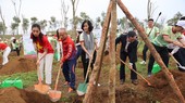 Mọi người đã tham gia chương trình trồng cây đầy ý nghĩa tại Lai Châu trong ngày 25-3. Ảnh: NHƯ Ý