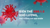 Biến thể XBB.1.5 khó lường, Thủ tướng chỉ đạo khẩn