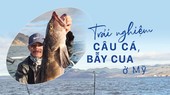 Trải nghiệm câu cá, bẫy cua ở Mỹ