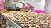 Enterprises receive many export orders in new year
