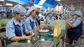 Foreign Direct Investment projects essential for growth
