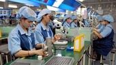 Realized FDI capital hits record high since 2018