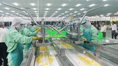 Agricultural exports see surplus 3.2 times higher