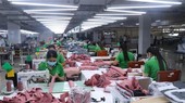 Key southern economic region a magnet for FDI