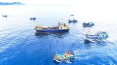 Vietnam ready to cooperate and share experience in combating illegal fishing