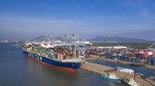 More than VND732 billion to upgrade Nghi Son Port channel in Thanh Hoa
