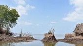 Kien Giang Province invests more than VND17 trillion to prevent erosion