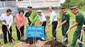 More barringtonia asiatica trees given by Truong Sa Island planted in HCMC