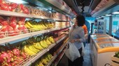 Vietnam inflation still under control: economists