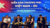 Vietnam, EU seek to boost cooperation in green, sustainable growth