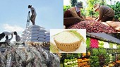 Agricultural sector aims at export turnover of US$50 billion in 2022