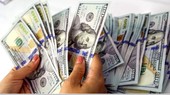 Dollar prices rebound to above VND24,000 at commercial banks