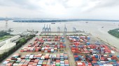 HCMC seaport system needs mechanisms to connect effectively