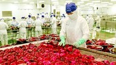 Agricultural, aquatic product exports speed up at beginning of new year