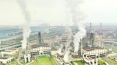 Vietnamese enterprises prepare for carbon credit market
