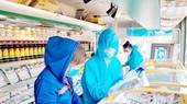 People moved to Thanh Da Union Motel are choosing foodstuff on a mobile food store. (Photo: SGGP)