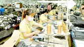 An apparel export business in HCMC. (Photo: SGGP)
