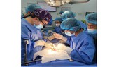 The first kidney transplant case in Thong Nhat Hospital