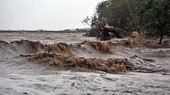 Mekong Delta reporting serious erosion on sea dyke, river embankment