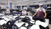 Domestic businesses still not able to take advantage of FTA