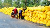 Increasing the income of rice farmers is an urgent demand of rice cultivation nations