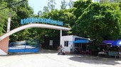 Illegal deforestation in Ghenh Rang national scenic site strictly handled