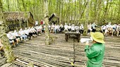 Tourists are visiting Can Gio mangrove forest (Photo: SGGP)