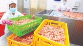 Workers in Saigon Aquatic Products Trading JSC. are on duty. (Photo: SGGP)