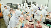 Chế biến thịt heo tại Công ty Vissan. Ảnh: CAO THĂNG