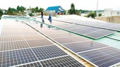 Đón đầu xu thế năng lượng xanh
