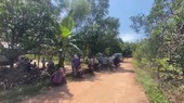 Dùng dao giải quyết mâu thuẫn, chồng chết, vợ bị thương nặng