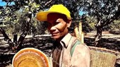 Người đàn ông lạc 20 ngày trong Vườn quốc gia Cát Tiên: Đã tìm thấy thi thể