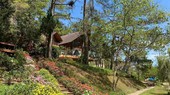 TP Đà Lạt: Làm rõ các sai phạm tại Khu resort Giao Hưởng Xanh