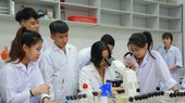 Trường đại học 'chạy đua' xếp hạng