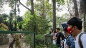 Bạn trẻ rủ nhau thăm Thảo cầm viên