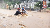 Bí thư Tỉnh ủy Bình Định chỉ đạo chống ngập khẩn cấp ở đô thị biển Quy Nhơn