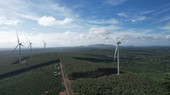 Vì sao GEG được định giá ở mức 30.000 đồng?
