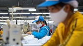 Thành lập Tổ cố vấn chuyên môn Mạng lưới doanh nghiệp liêm chính Việt Nam