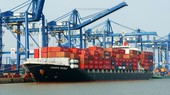 Nửa đầu tháng 11, Việt Nam nhập siêu hơn 1 tỷ USD