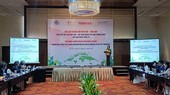 Thúc đẩy hợp tác kinh tế Việt – Nhật theo hướng ‘xanh hóa’