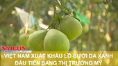 Việt Nam xuất khẩu lô bưởi da xanh đầu tiên sang thị trường Mỹ