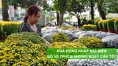 Hoa kiểng khắp mọi miền đổ về TPHCM những ngày cận tết